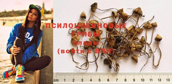 МДПВ Кодинск