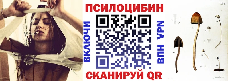 Купить где  Бронницы  Псилоцибиновые грибы Magic Shrooms 